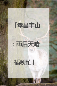 孝昌丰山：雨后天晴插秧忙