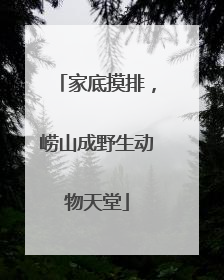 家底摸排，崂山成野生动物天堂