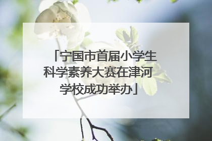 宁国市首届小学生科学素养大赛在津河学校成功举办