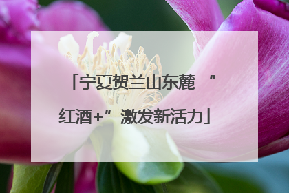 宁夏贺兰山东麓 “红酒+”激发新活力