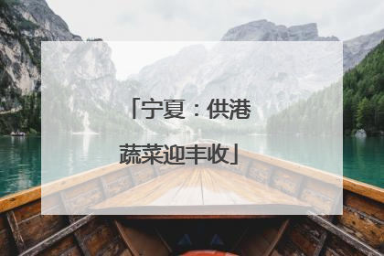 宁夏：供港蔬菜迎丰收