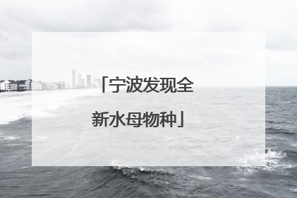 宁波发现全新水母物种