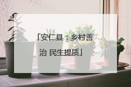 安仁县：乡村善治 民生提质
