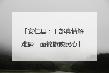 安仁县：干部真情解难题一面锦旗映民心