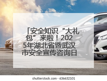 安全知识“大礼包”来啦！2025年湖北省暨武汉市安全宣传咨询日活动在汉举行