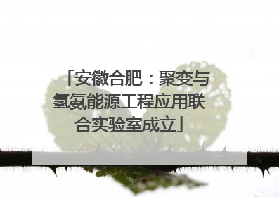 安徽合肥：聚变与氢氨能源工程应用联合实验室成立