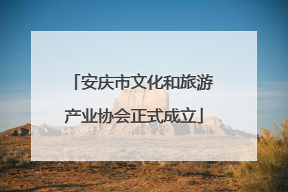 安庆市文化和旅游产业协会正式成立