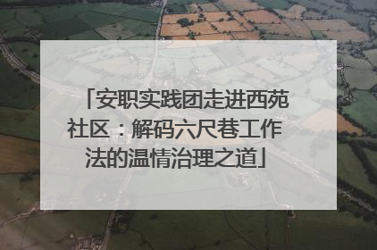 安职实践团走进西苑社区：解码六尺巷工作法的温情治理之道