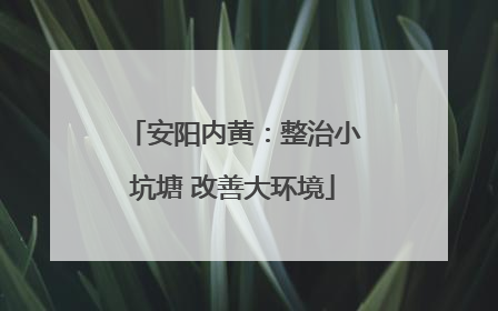 安阳内黄：整治小坑塘 改善大环境