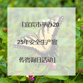 宜宾市举办2025年安全生产宣传咨询日活动