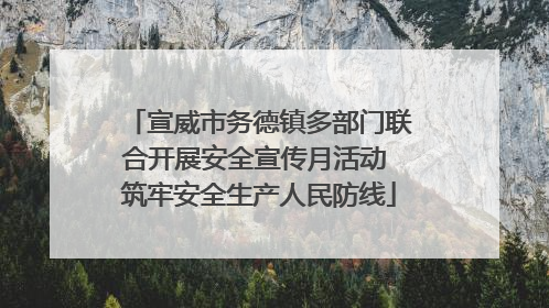 宣威市务德镇多部门联合开展安全宣传月活动 筑牢安全生产人民防线