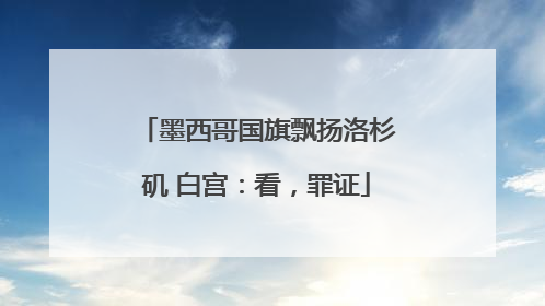 墨西哥国旗飘扬洛杉矶 白宫：看，罪证