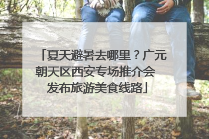 夏天避暑去哪里？广元朝天区西安专场推介会 发布旅游美食线路