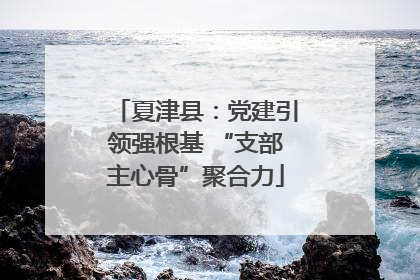 夏津县：党建引领强根基 “支部主心骨”聚合力