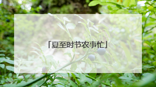 夏至时节农事忙