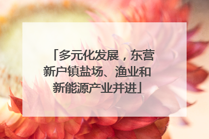 多元化发展，东营新户镇盐场、渔业和新能源产业并进
