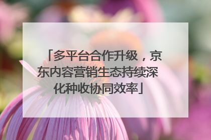 多平台合作升级，京东内容营销生态持续深化种收协同效率