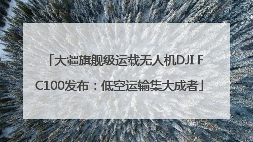 大疆旗舰级运载无人机DJI FC100发布：低空运输集大成者