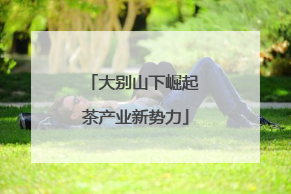大别山下崛起茶产业新势力