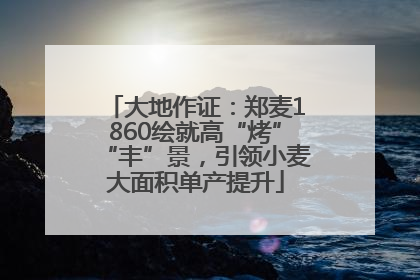 大地作证：郑麦1860绘就高“烤”“丰”景，引领小麦大面积单产提升