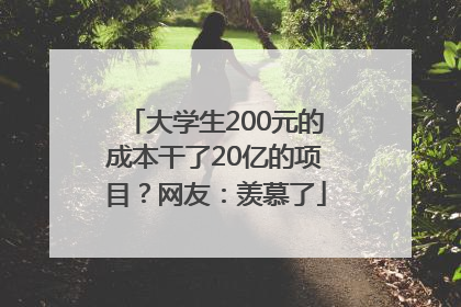 大学生200元的成本干了20亿的项目？网友：羡慕了