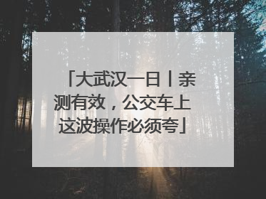 大武汉一日丨亲测有效，公交车上这波操作必须夸