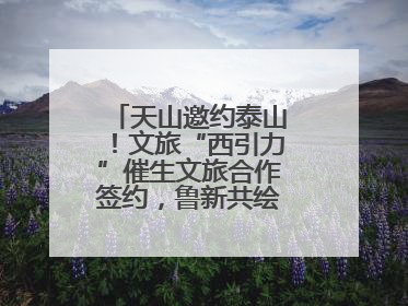 天山邀约泰山！文旅“西引力”催生文旅合作签约，鲁新共绘丝路诗与远方