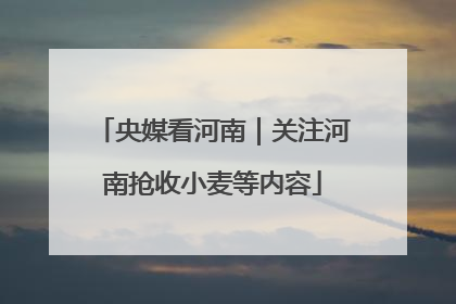 央媒看河南｜关注河南抢收小麦等内容