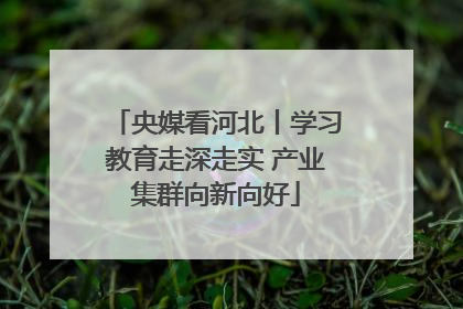 央媒看河北丨学习教育走深走实 产业集群向新向好