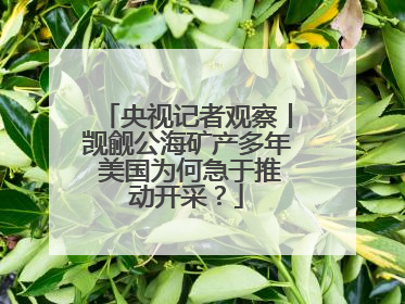 央视记者观察丨觊觎公海矿产多年 美国为何急于推动开采？