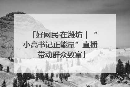 好网民·在潍坊｜“小高书记正能量”直播 带动群众致富