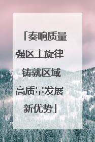 奏响质量强区主旋律 铸就区域高质量发展新优势