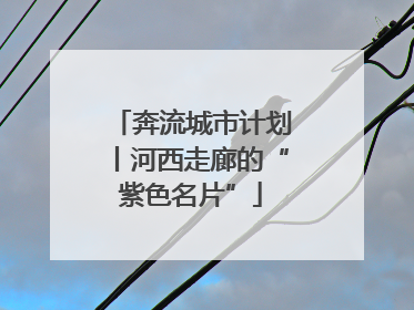 奔流城市计划丨河西走廊的“紫色名片”