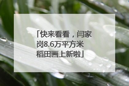 快来看看，闫家岗8.6万平方米稻田画上新啦