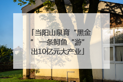 当阳山泉育“黑金” 一条鲟鱼“游”出10亿元大产业