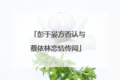 彭于晏方否认与蔡依林恋情传闻