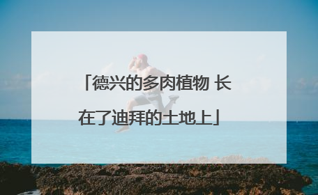 德兴的多肉植物 长在了迪拜的土地上
