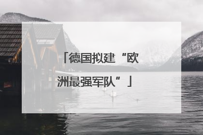 德国拟建“欧洲最强军队”