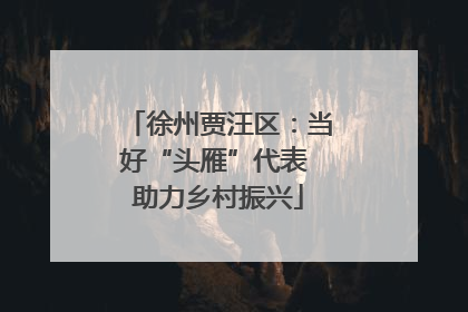 徐州贾汪区：当好“头雁”代表 助力乡村振兴