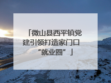 微山县西平镇党建引领打造家门口“就业圈”