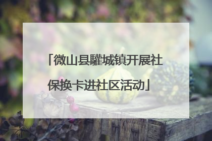 微山县驩城镇开展社保换卡进社区活动
