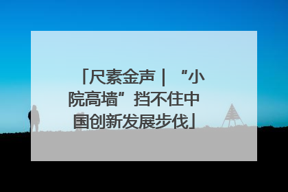 尺素金声｜“小院高墙”挡不住中国创新发展步伐