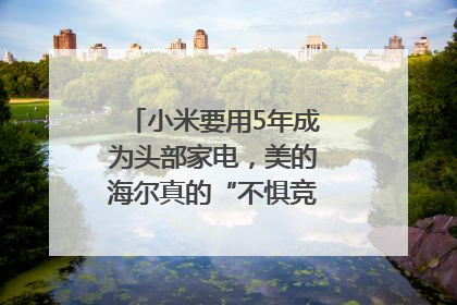 小米要用5年成为头部家电，美的海尔真的“不惧竞争”？｜热财经