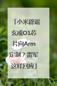 小米辟谣玄戒O1芯片向Arm定制？雷军这样回应