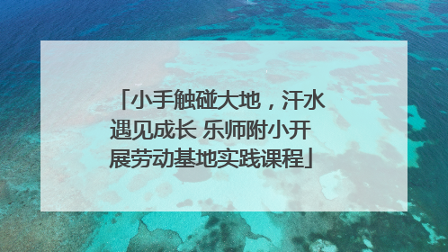 小手触碰大地，汗水遇见成长 乐师附小开展劳动基地实践课程