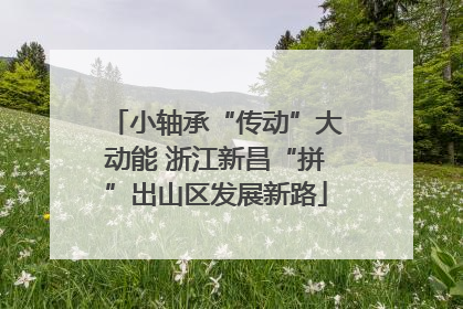 小轴承“传动”大动能 浙江新昌“拼”出山区发展新路
