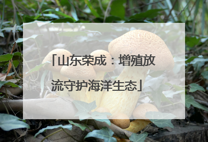 山东荣成：增殖放流守护海洋生态