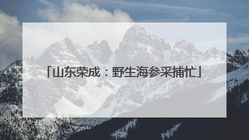 山东荣成：野生海参采捕忙
