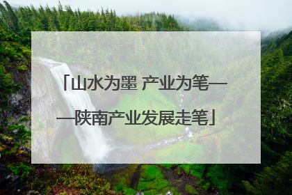 山水为墨 产业为笔——陕南产业发展走笔