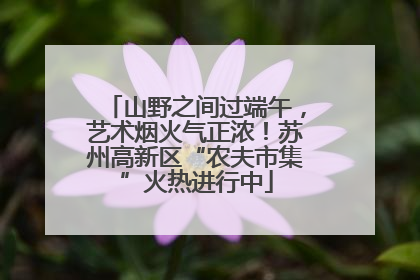 山野之间过端午，艺术烟火气正浓！苏州高新区“农夫市集”火热进行中